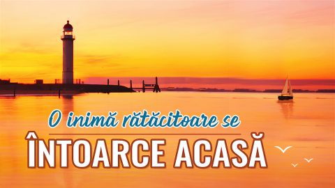 O inimă rătăcitoare se întoarce acasă