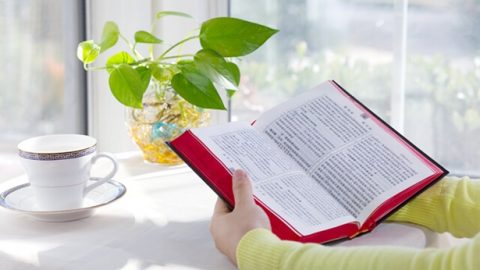 Cum ar trebui să abordăm și să folosim Biblia într-un mod care respectă voia lui Dumnezeu? Care este valoarea inerentă a Bibliei?
