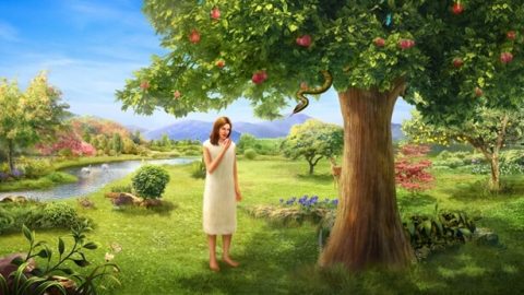 where-do-rumors-come-from